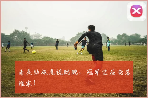 南美劲旅虎视眈眈,冠军宝座花落谁家!
